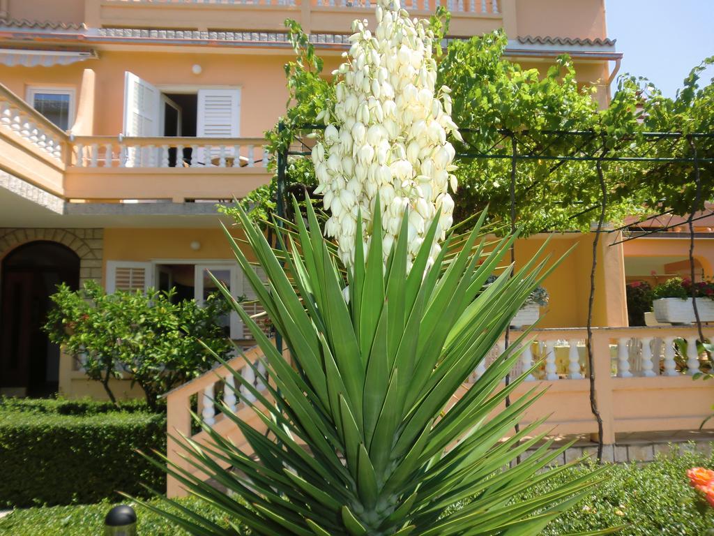 Guest House Sandra Rab Town Exteriör bild